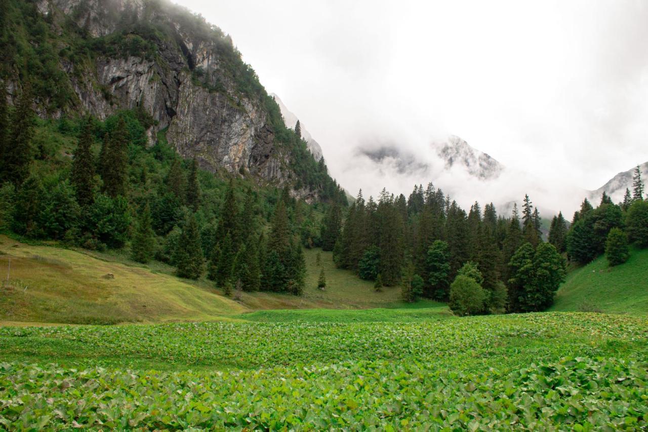 Готель Berggasthaus Gitschenen Isenthal Екстер'єр фото