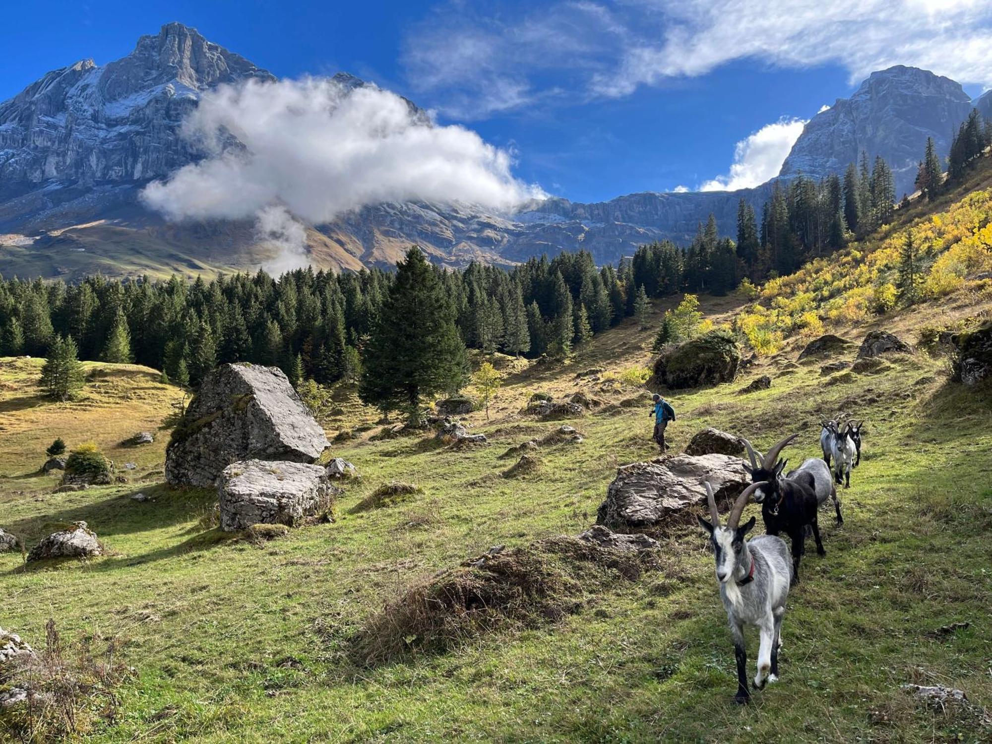 Готель Berggasthaus Gitschenen Isenthal Екстер'єр фото
